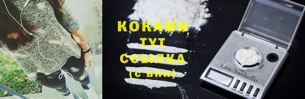кокс Арсеньев