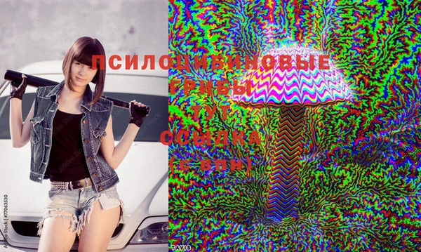 прущий лед Аркадак