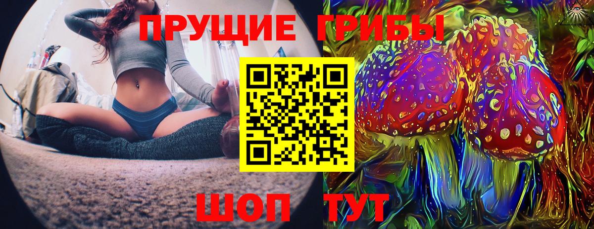 Галлюциногенные грибы Cubensis Сибай