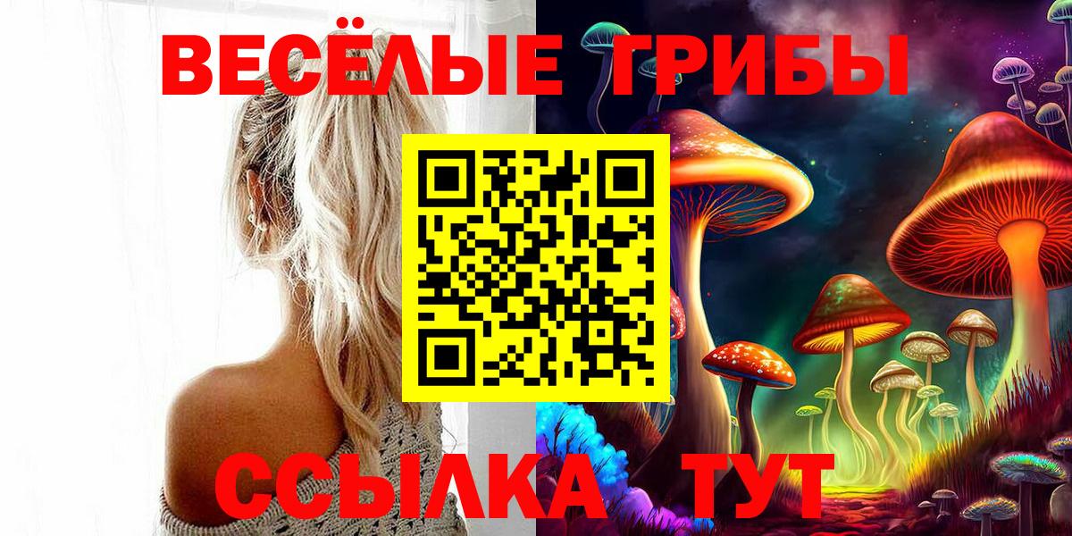 Сибай  Псилоцибиновые грибы Psilocybine cubensis  дарнет шоп  Вход с VPN 