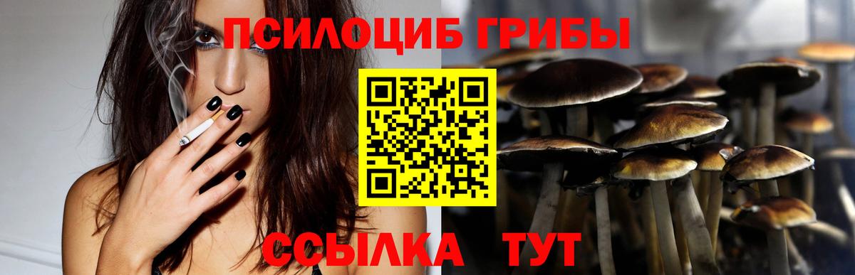 Псилоцибиновые грибы Magic Shrooms  Псилоцибиновые грибы ЛСД  Сибай  Вход с VPN 